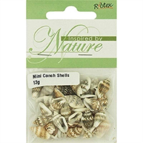 AussieSuperStore Jewellery Making Supplies Shell Mini Conch Beads Shell Mini Conch Beads | Jewellery Making Beads | Jewellery Making Supplies 9323823205720 SHE1901